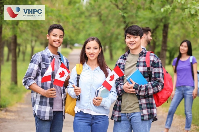 KING88 là nhà cái giải trí đỉnh cao Canada diện SDS